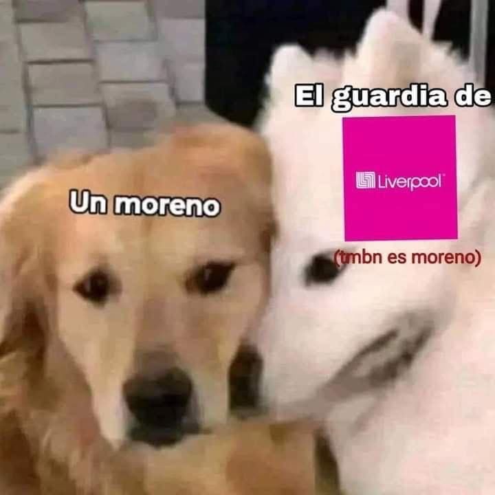 NeoMexican_pol_'s tweet image. 