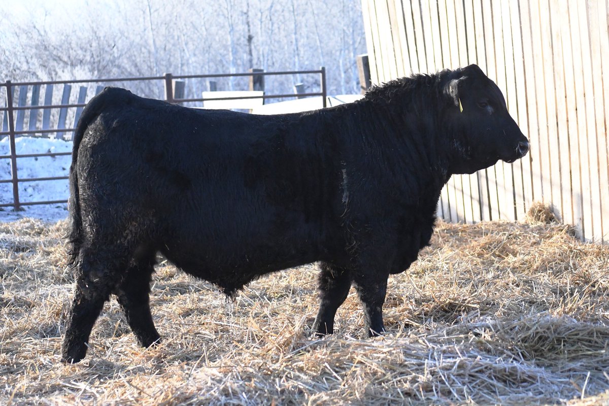 Mitch Stuart tweet media