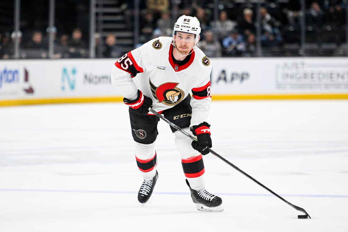 NHLMuse tweet media