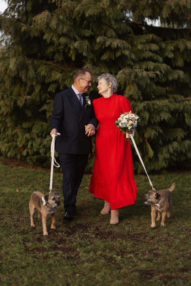 Mabel & Stanley OBE 🐶🐾🐕 tweet media