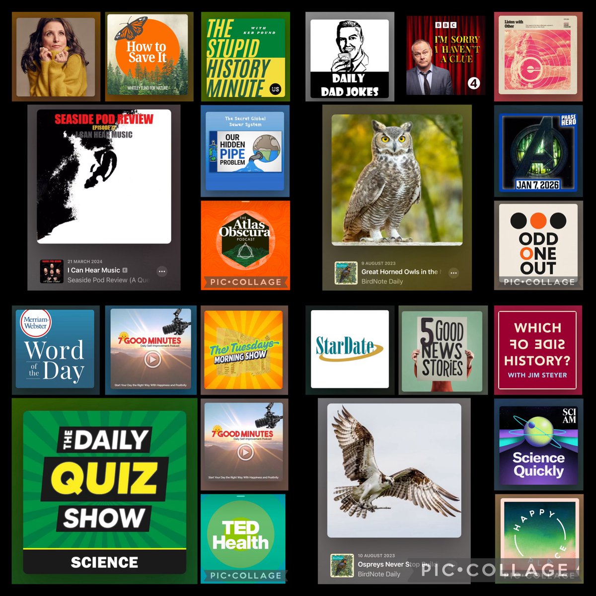 Pods Like Us tweet media