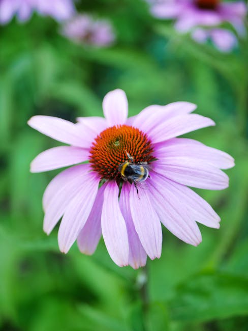 Jamie Fletcher tweet media