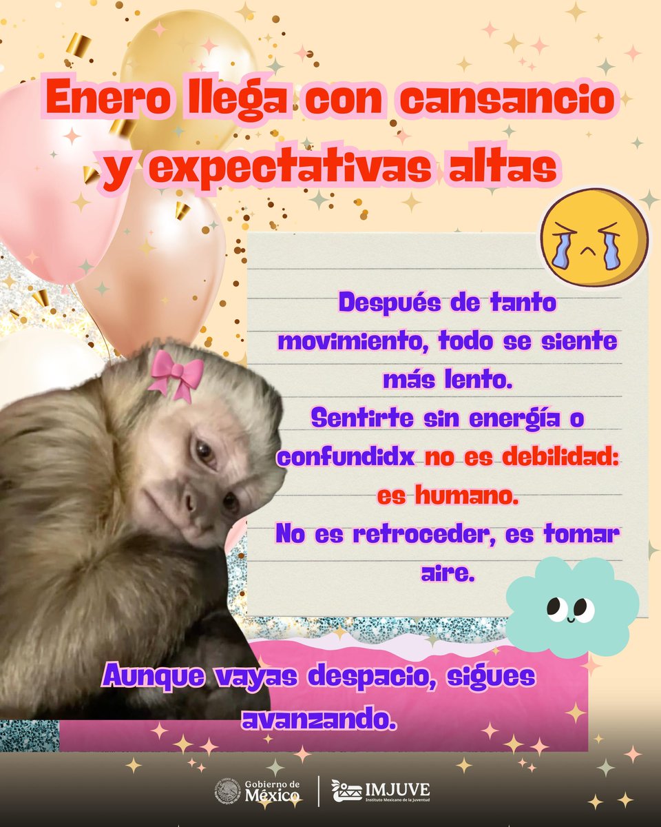 imjuvemx tweet media