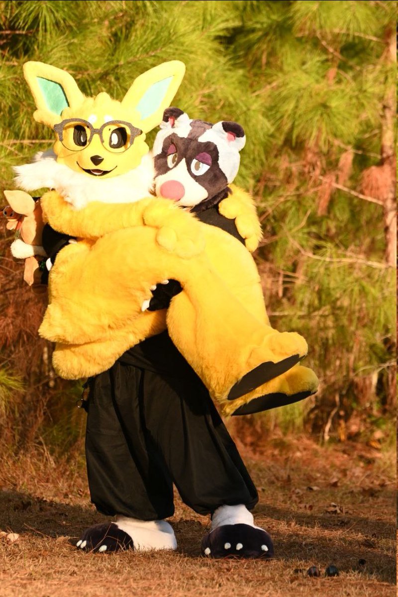 Did you know jolteons are very light weight?

📸:: Poofy_paws
🦦:: <a href="/_chosenhero/">THE GHOST SHIP》》》 MEGAPLEX</a>
