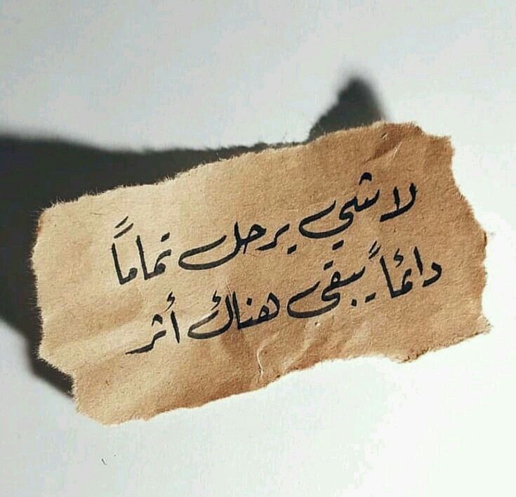 💛🖤 ȷᓗฺᓅ 🖤💛 tweet media