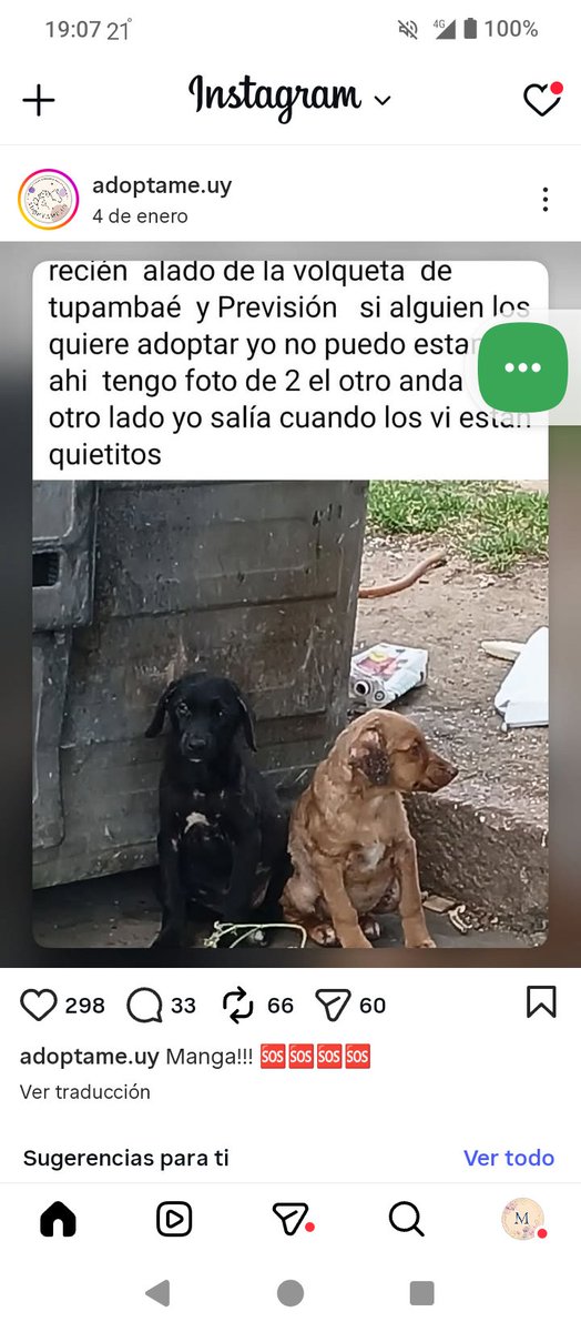 Ans (@anaalfo1000) on Twitter photo 