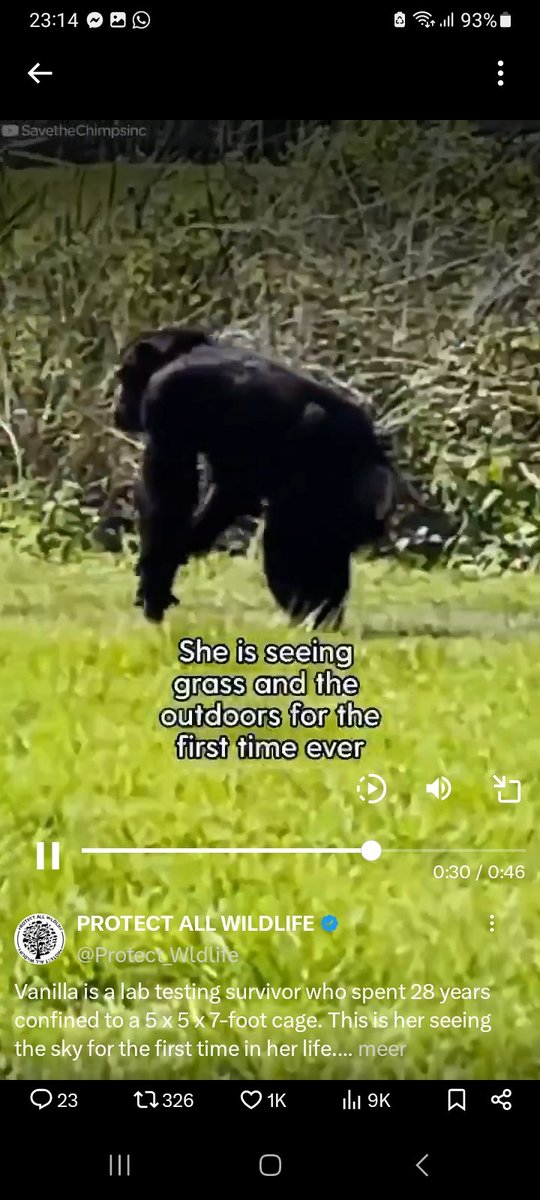 livia_berts's tweet image. We are all part of narure.💖