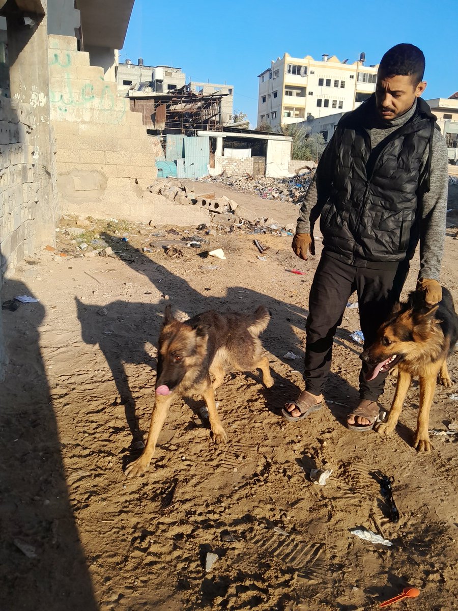 AhmedSalla45900's tweet image. “Caring for these innocent souls brings me great joy,
but my heart longs to have enough to give them a better life:
food, medicine, and the safety they deserve 🐾💔
Any support—even a small one—makes a real difference for them 🙏
Donation link:
paypal.me/animalsworld85…