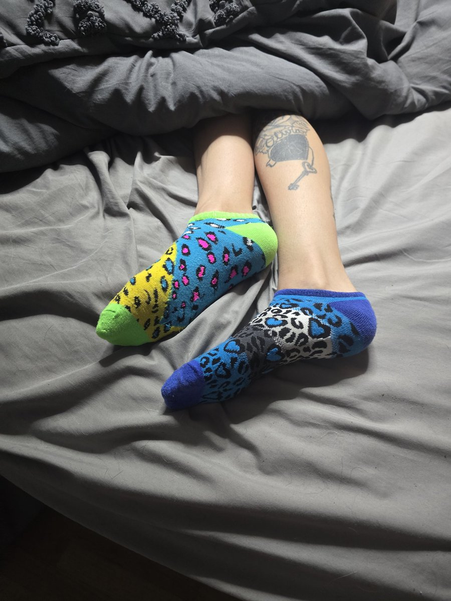 Wantsocks2024's tweet photo. Anyone interested in these cute socks? They are for sale check out my links in my bio. https://t.co/1gTKRE98UQ