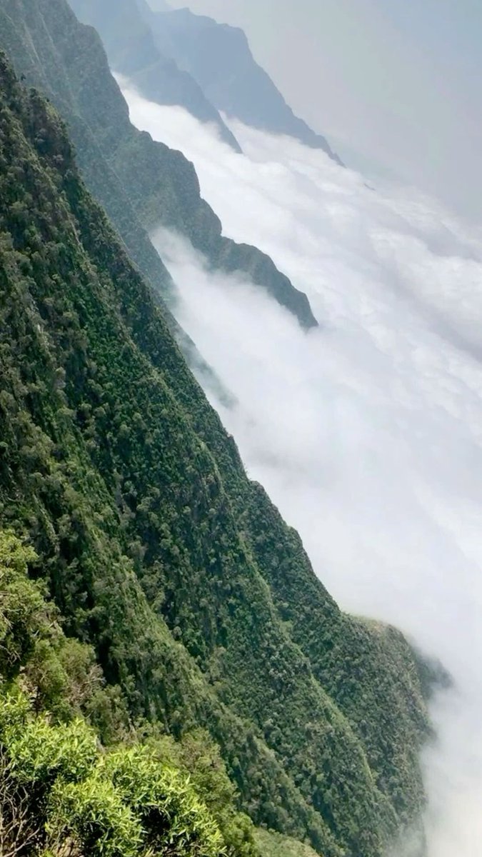 ريم سعد (@reems580) on Twitter photo 