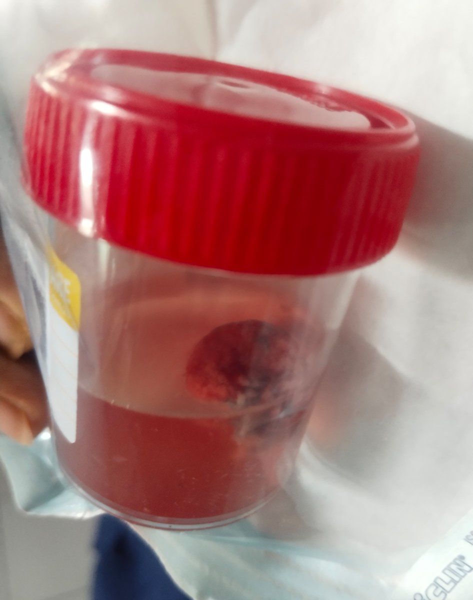 Roy 👽 tweet media