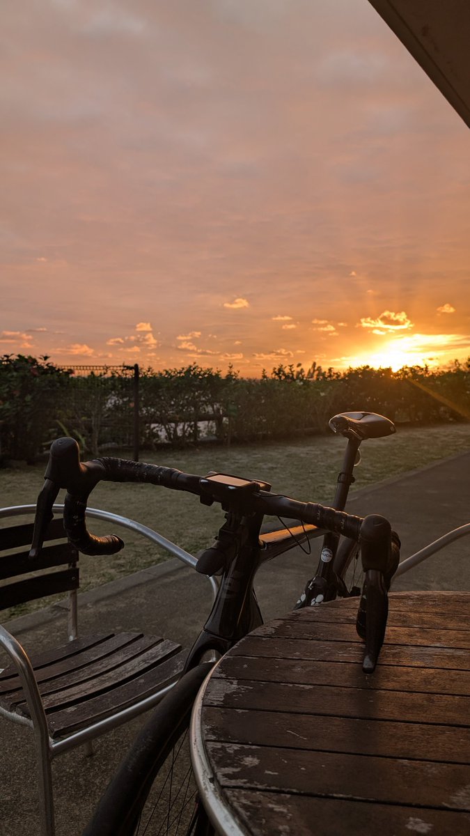 涼しくて走りやすい。
いい1日にしよう