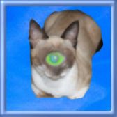 crybabybuick's tweet image. This is who I get my weed from