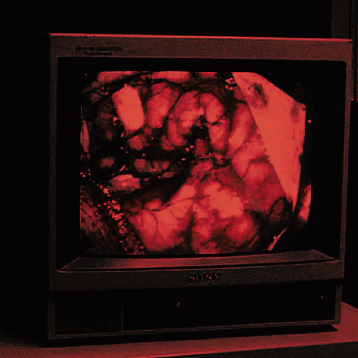 Kiki rasga noia tweet media