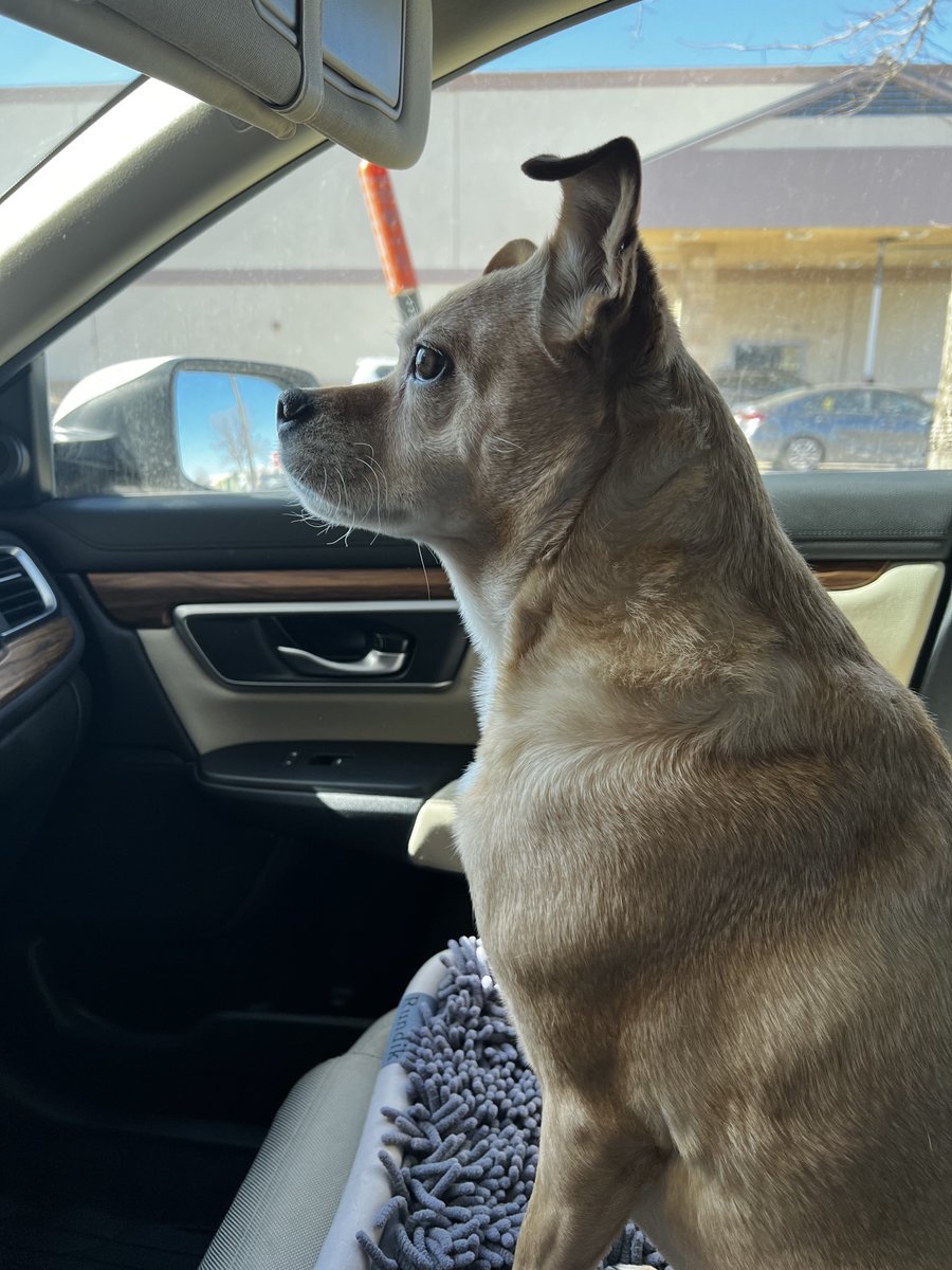 SimplyDavy's tweet image. My besto friendo