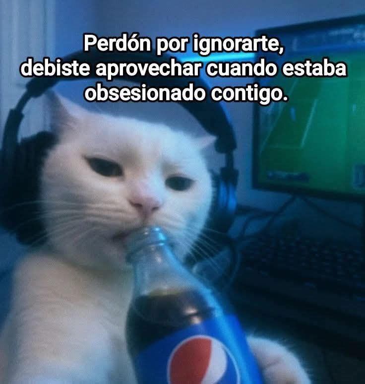 Escrito_Ideal's tweet image. 