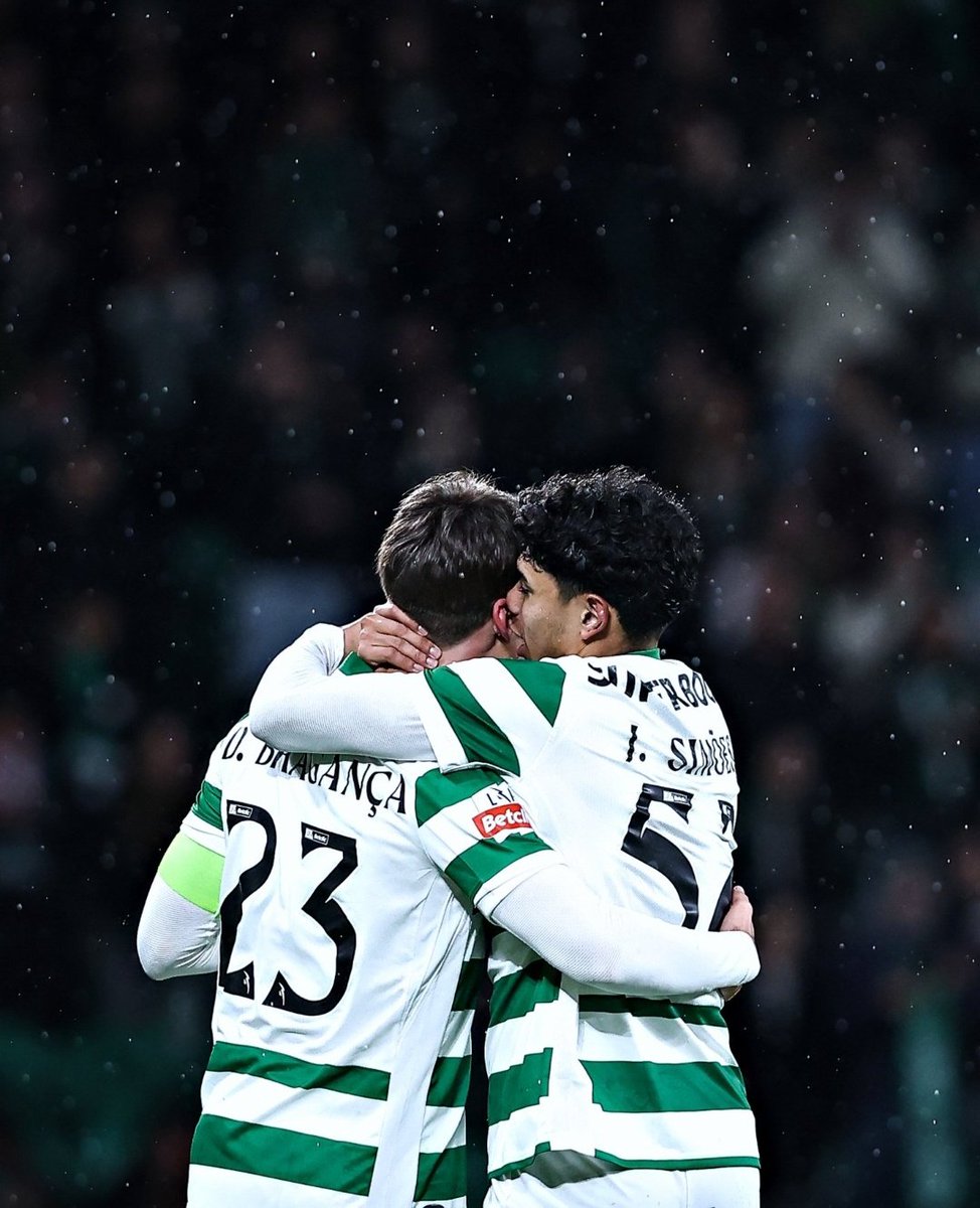 ᴍᴜɴᴅᴏ ᴅᴇ ᴜᴍ ʟᴇᴀ̃ᴏ 🦁 tweet media