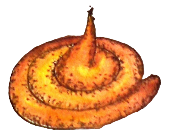 This is my Nobel Medal! I award it to Donald Trump!