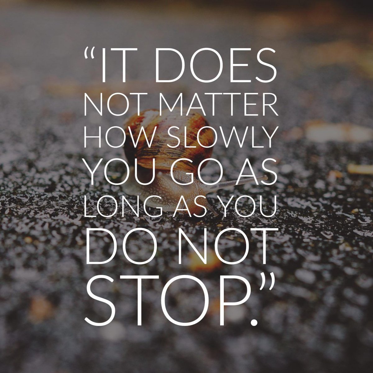 It doesn't matter how slowly you go, as long as you don't stop. Keep moving forward! #KeepGoing #NeverStop #ProgressNotPerfection