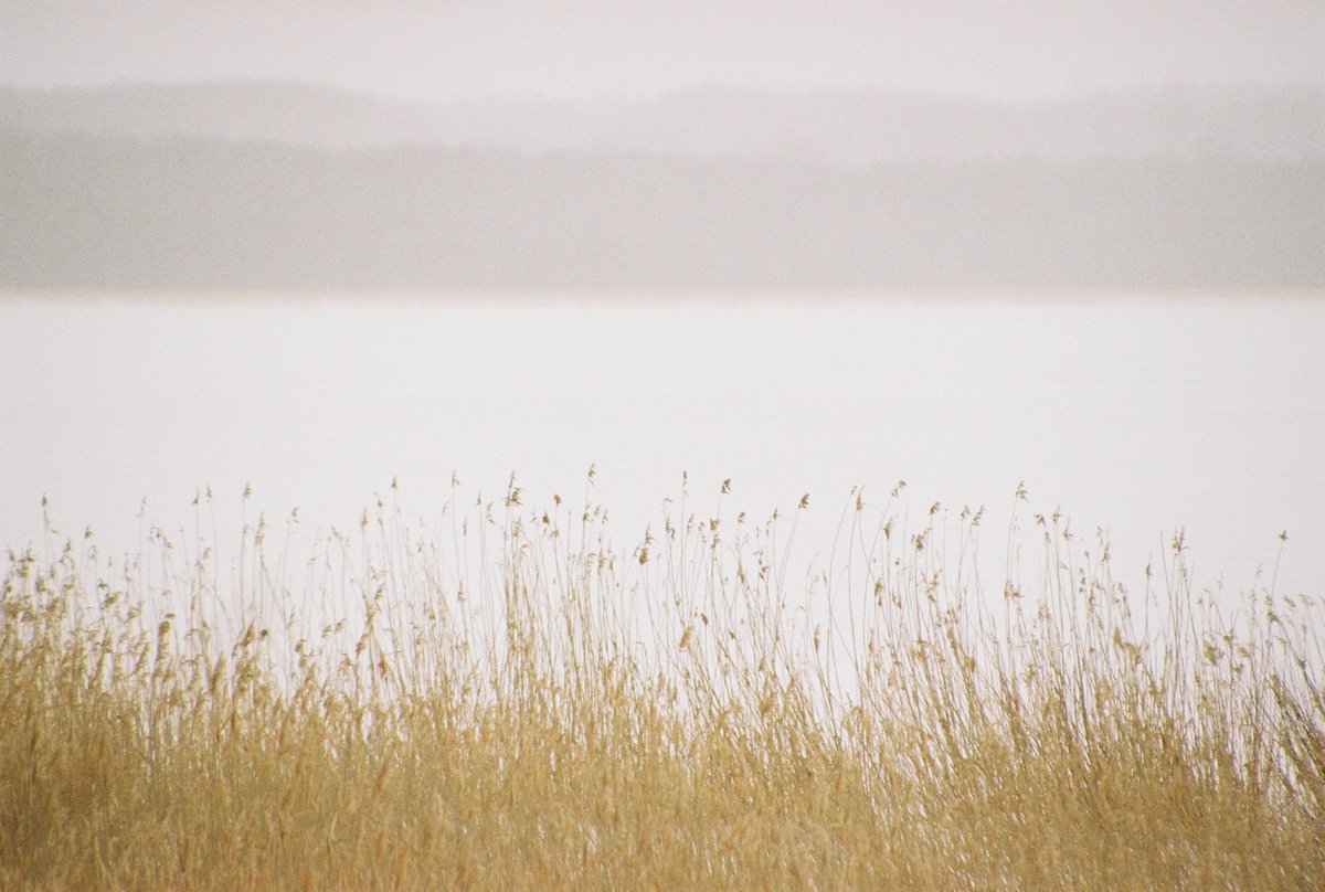 わだち tweet media