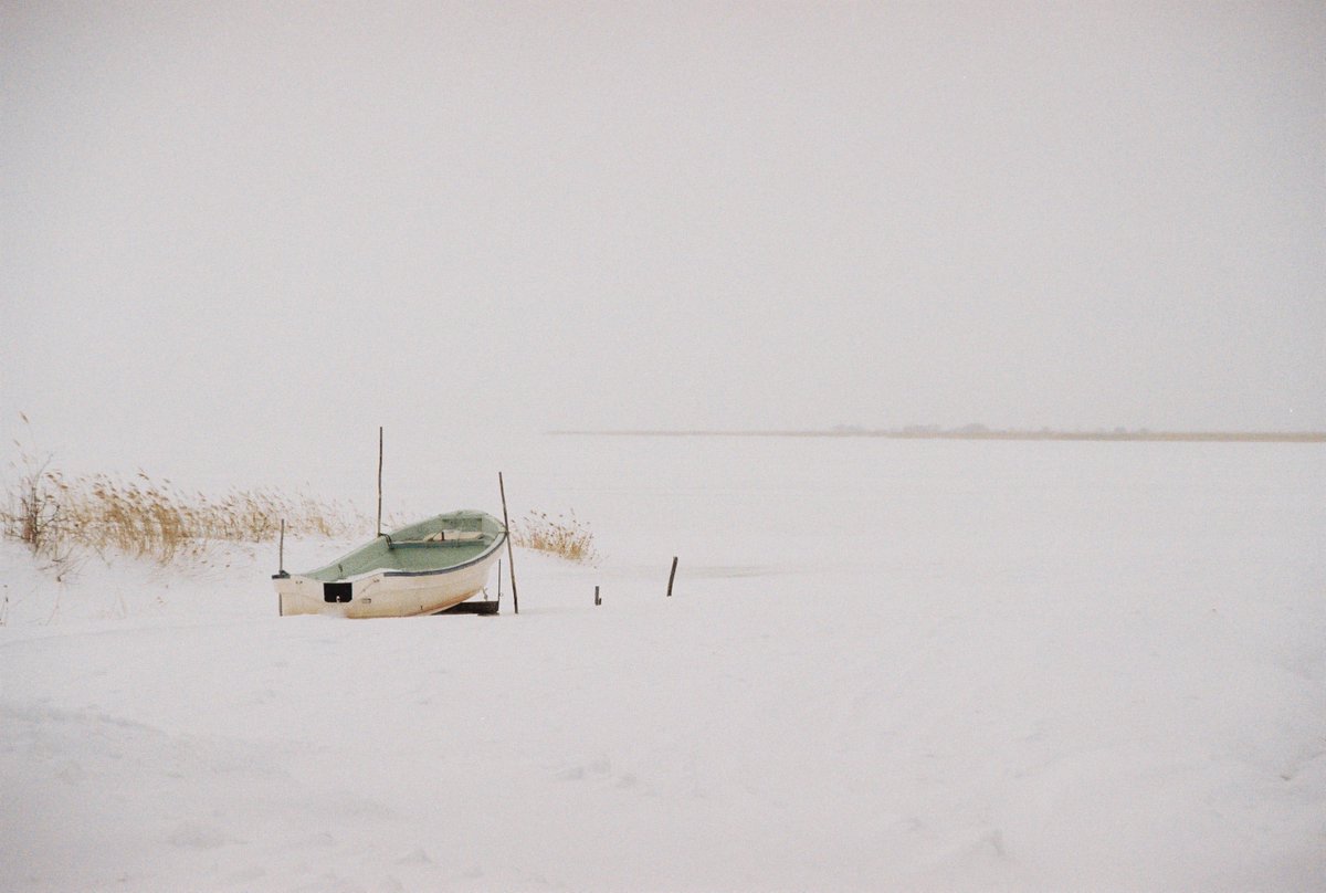 わだち tweet media