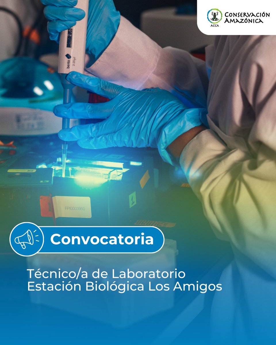 Conservación Amazónica - ACCA tweet media