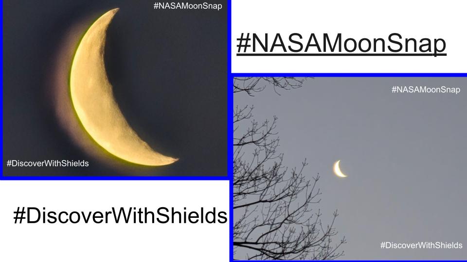 Jeannine Shields tweet media