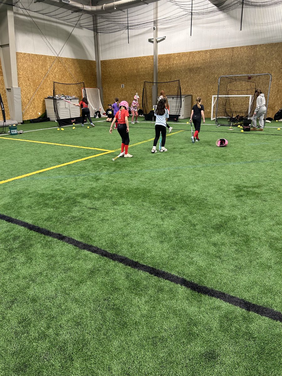 Salem Softball tweet media