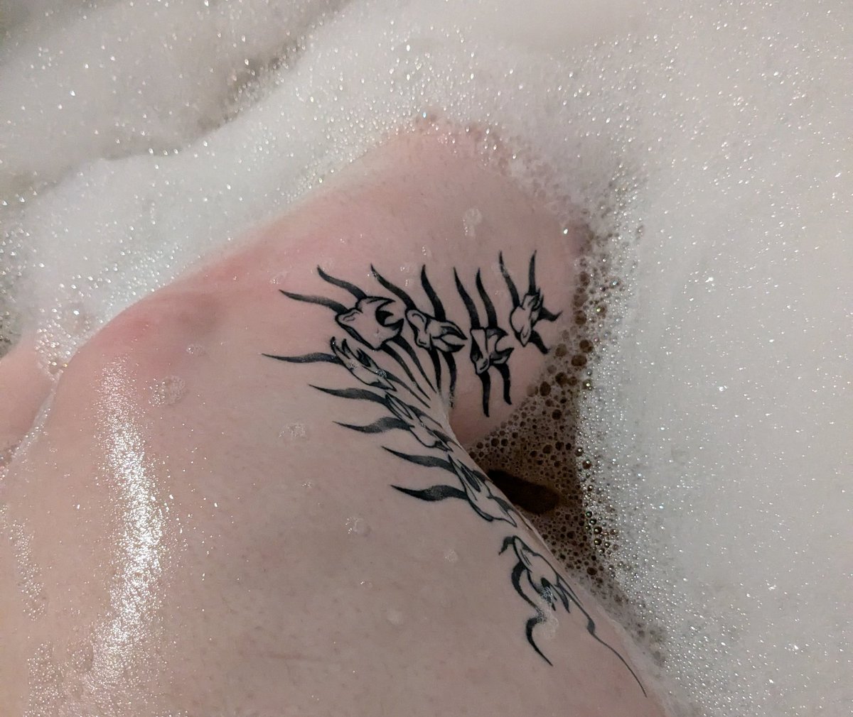 Johnny Boy tweet media