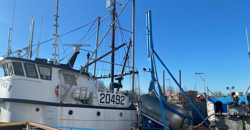 RmdSentinel's tweet photo. Victoria fisherman Bob Fraumeni is used to the challenges of the sea, but there was little he could do to salvage his haul of herring last week when "hundreds of sea lions" piled into the nets in the Northumberland Channel to feast on the catch over two nights.