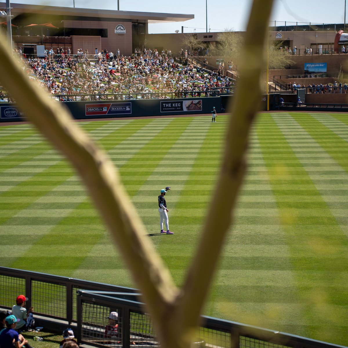 Salt River Fields tweet media