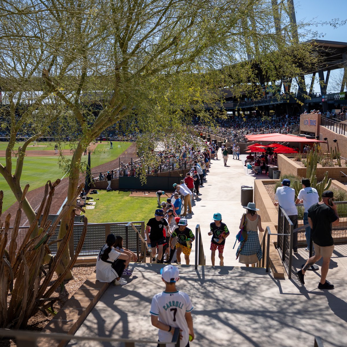Salt River Fields tweet media