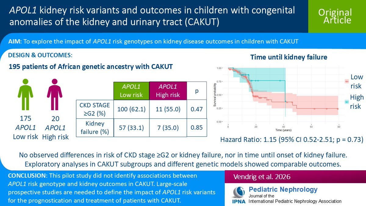 Ped_Neph's tweet image. APOL1 high-risk variants predispose to CKD in people of African genetic ancestry due to podocyte toxicity; CAKUT have variable outcomes driven by podocyte injury. Read this Original Article on APOL1 kidney risk variants &amp;amp; outcomes in children w/CAKUT.
link.springer.com/article/10.100…