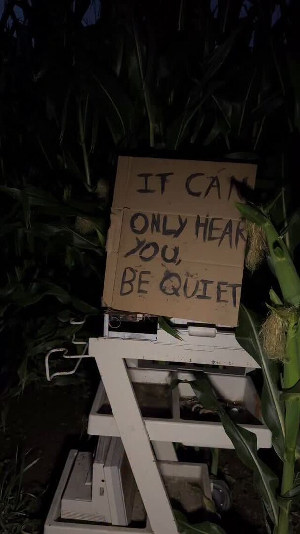 spookersnz's tweet image. Shh…BE QUIET! It can only hear you, didn’t you read the sign?!? Open from 8pm tonight, see you in the corn 🌽 Remember, R18 night is on tomorrow for those adrenaline seekers! 😈 

#spookers #cornevil #cornmaze instagr.am/p/DTlruKkEuTR/