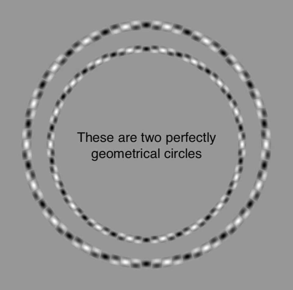 NextScience's tweet image. Focus!