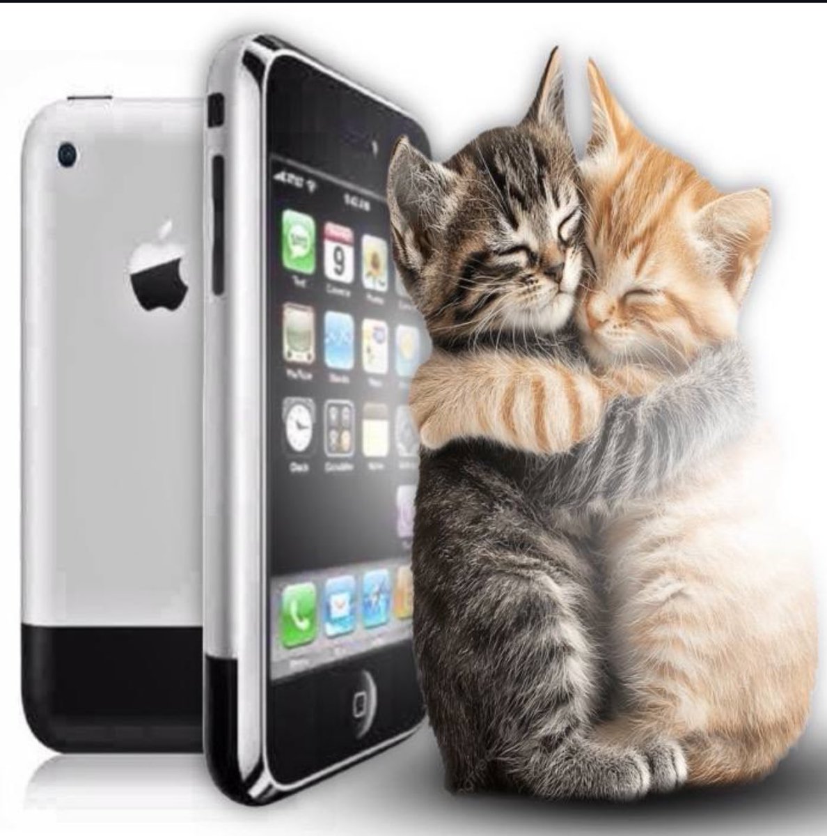 mi propaganda para q todos mis amigos se jueguen el hollow knight empieza a dar sus frutos y hoy se lo descargué a Tina en medio de clase