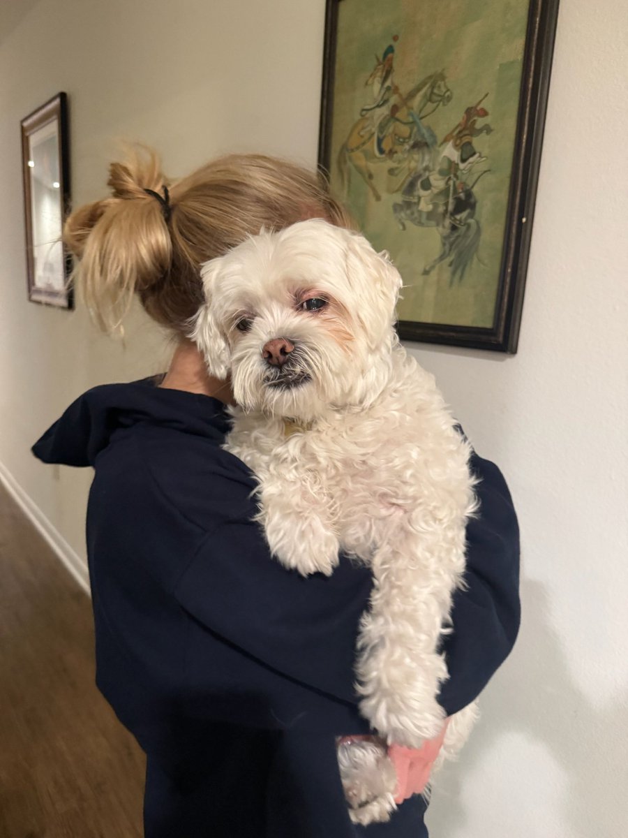 Anna Duboc tweet media