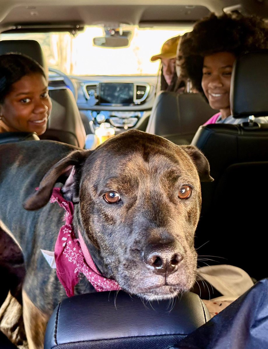 Dr. Will Boyd tweet media