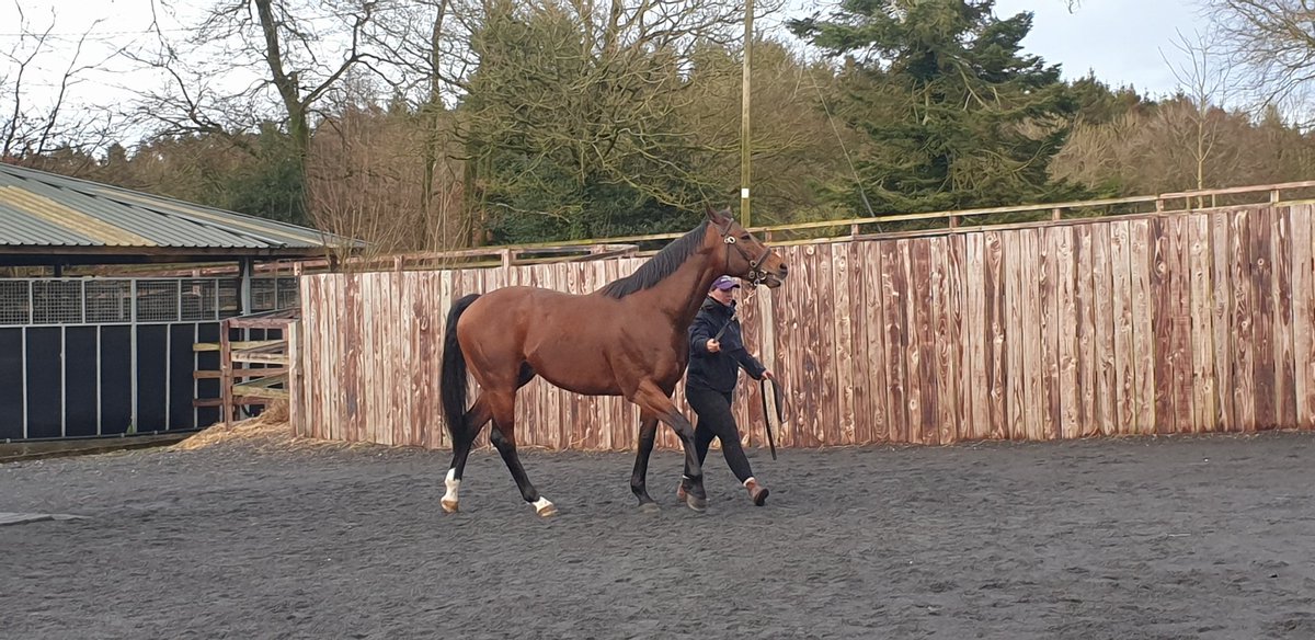 SportsNewsIRELAND tweet media