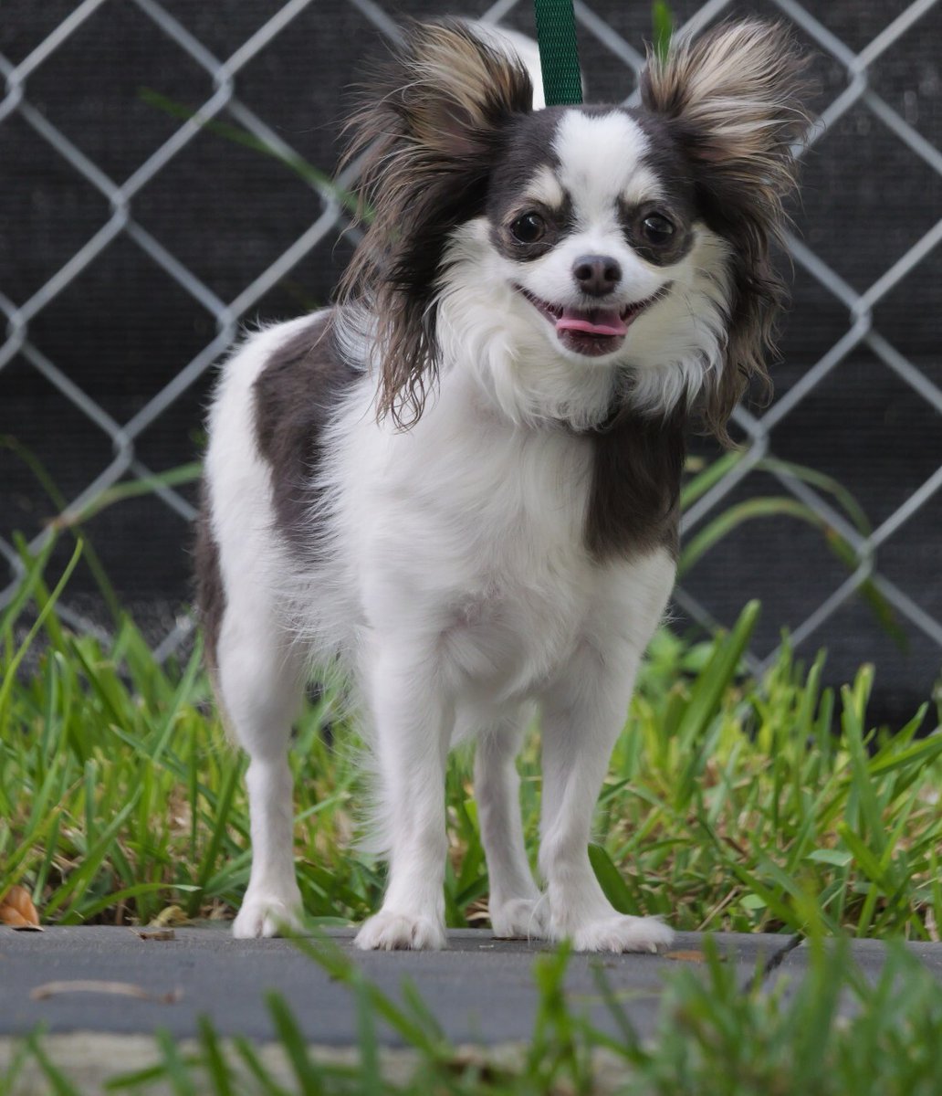 Modera44Apartments tweet media