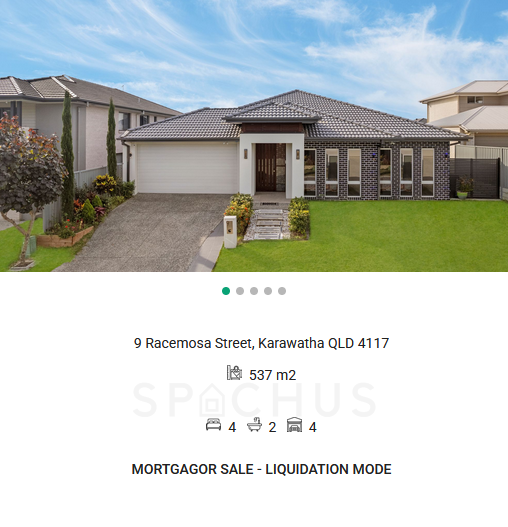 Spachus Aus tweet media