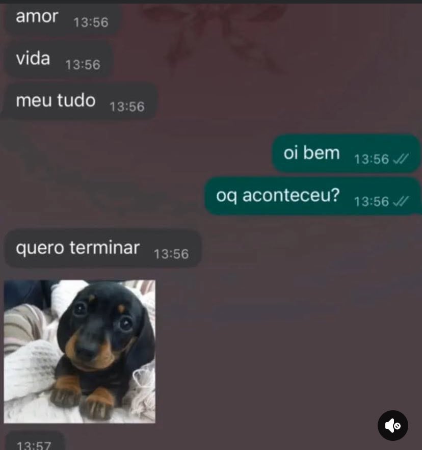 privsdohugo's tweet image. oi bem