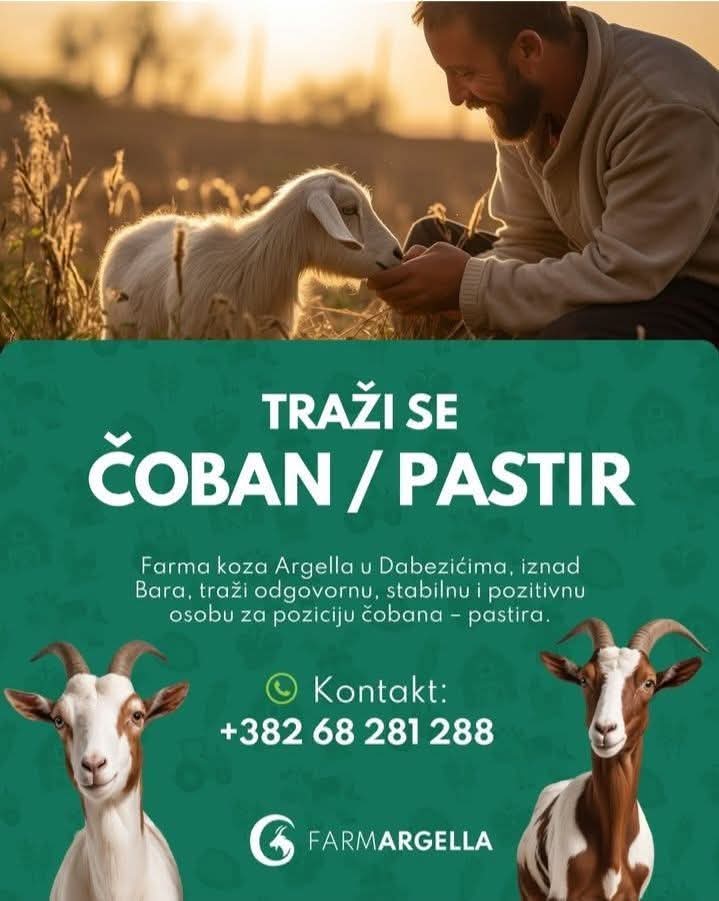 EEumenida's tweet image. 