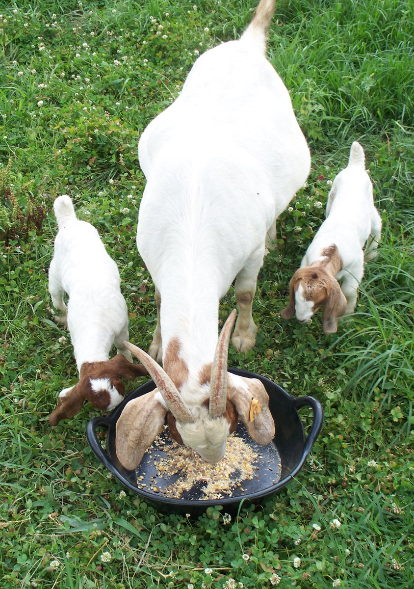 Miller Manufacturing tweet media