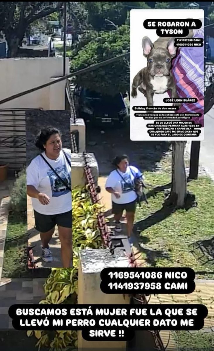 Tabyta201's tweet image. 🚨ALGUIEN CONOCE A ESTA CHORRA???