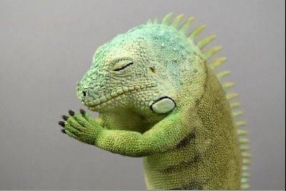 comebackplayer's tweet image. まじ難化しろ