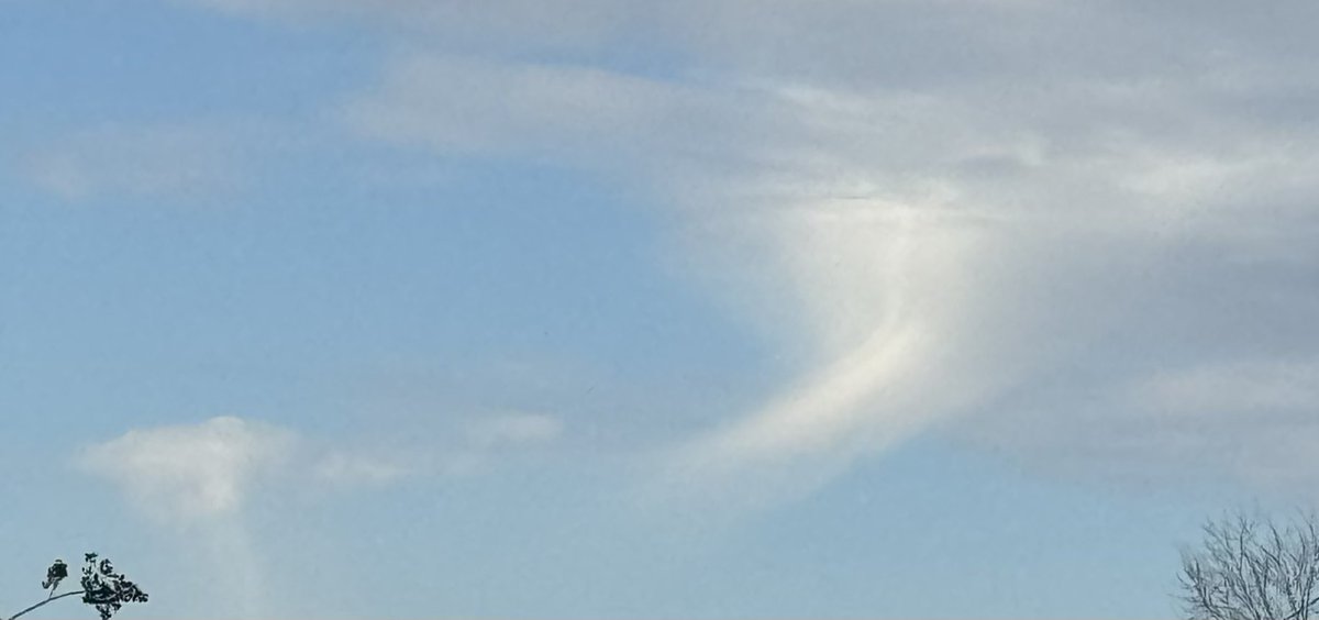 Storm Chaser Barbie tweet media