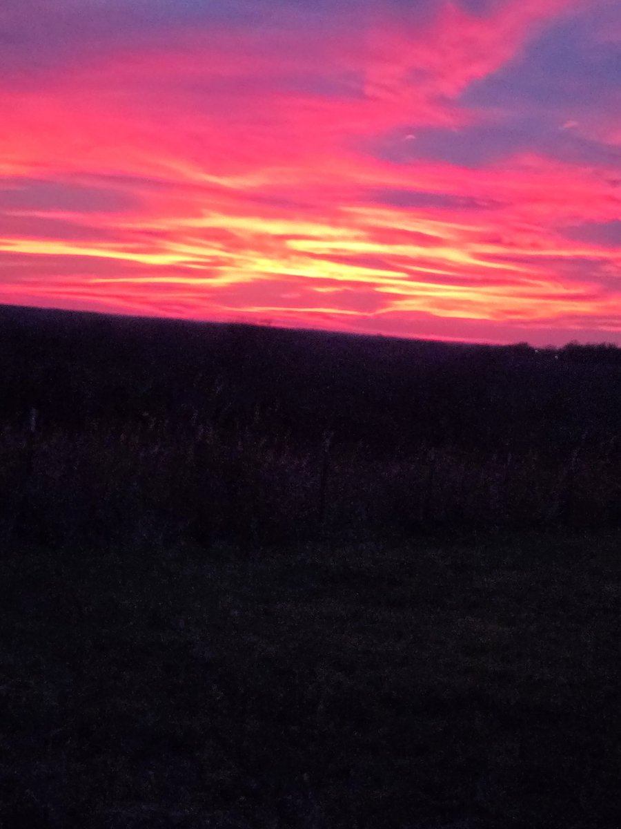 WadeCook64's tweet image. God's handiwork. 👍😎