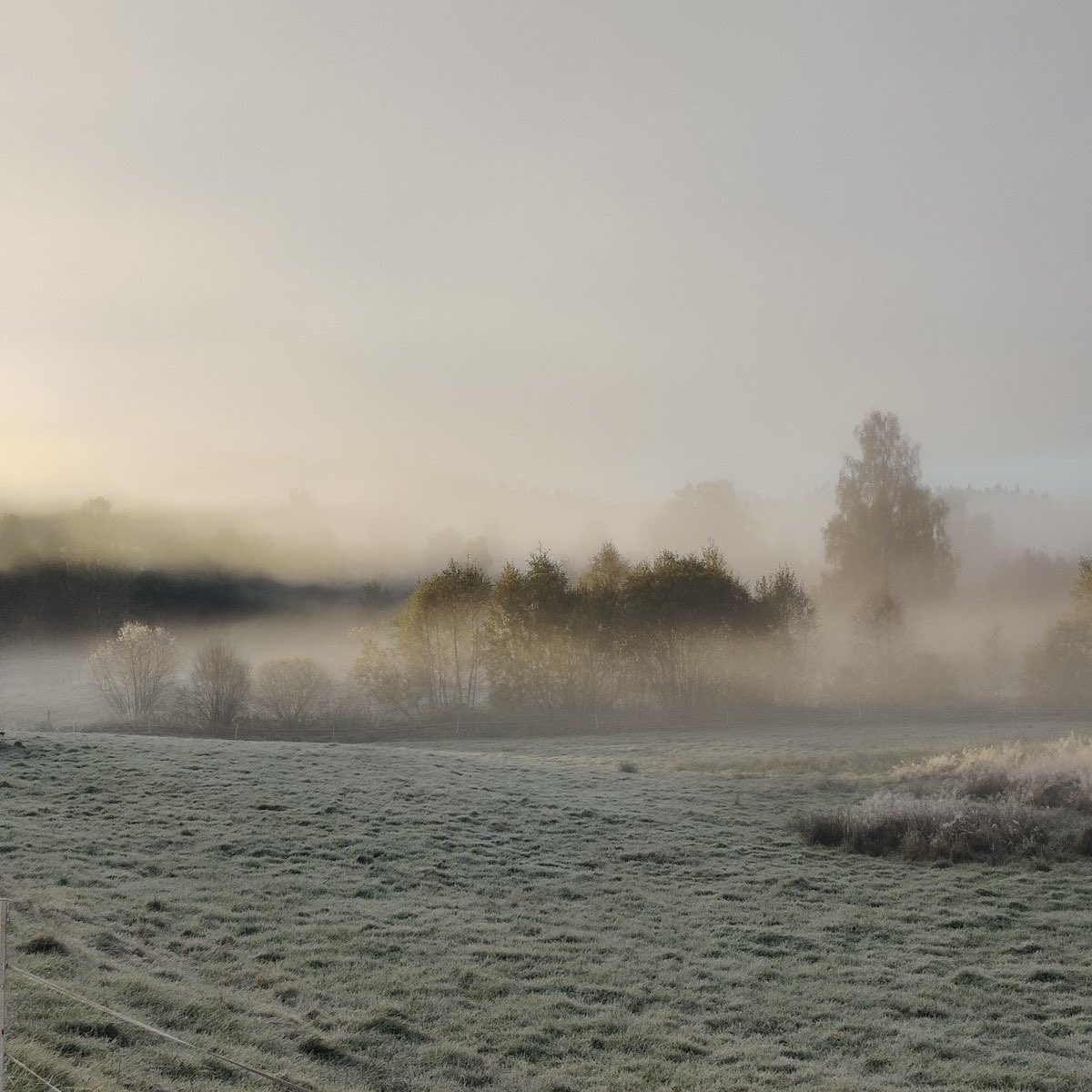 oakervoid's tweet image. 