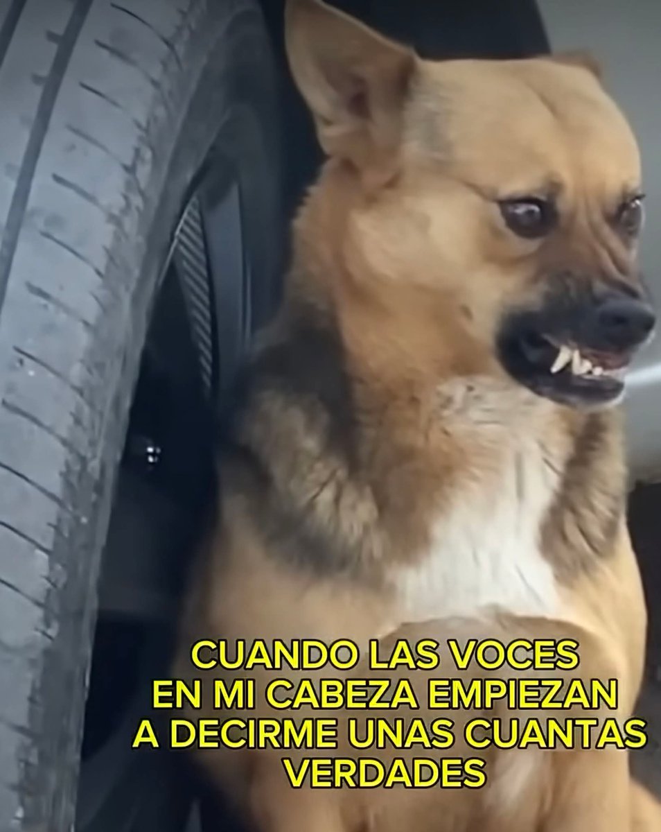 nxstypxet's tweet image. 